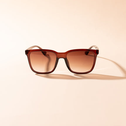 Lentes de Sol Urbano - PL 3997 - Marrón