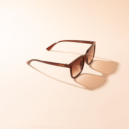 Lentes de Sol Urbano - PL 3997 - Marrón
