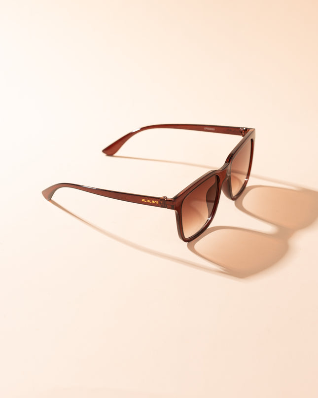 Lentes de Sol Urbano - PL 3997 - Marrón