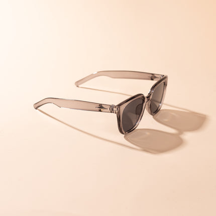 Lentes de Sol Urbano - PL - 3987 -  Plomo Transparente