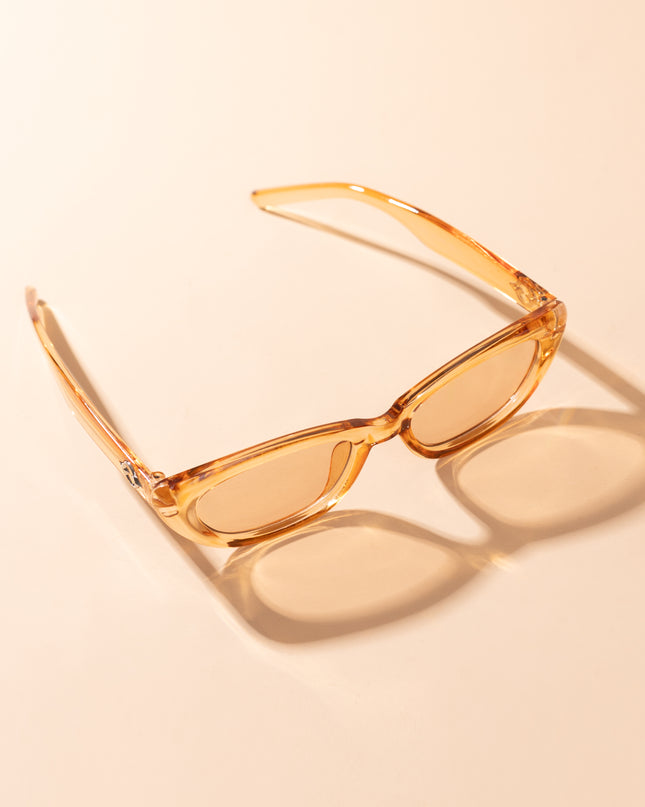 Lentes de Sol Urbano - PL 3985 - Camel