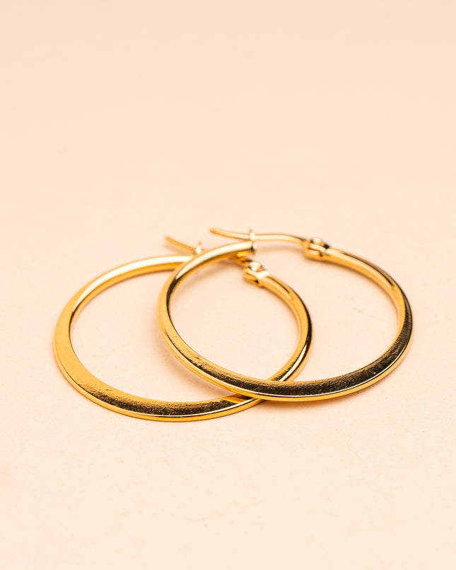 Aretes - Circulo Grande