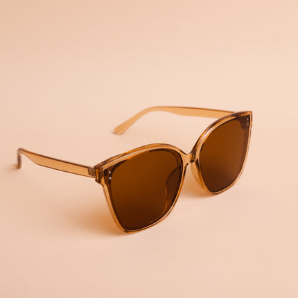 Lentes de Sol Urbano  - PL974 - Marron