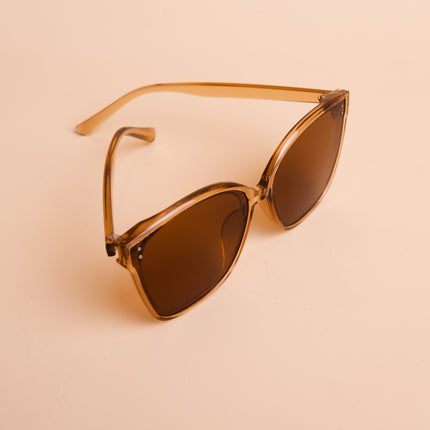 Lentes de Sol Urbano  - PL974 - Marron