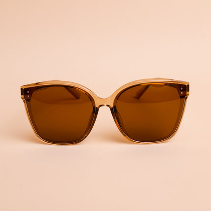 Lentes de Sol Urbano  - PL974 - Marron