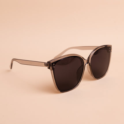 Lentes de Sol Urbano  - PL974 - Beige