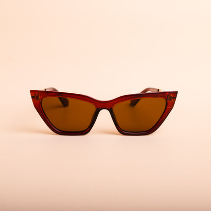 Lentes de Sol Urbano  - PL1904  - Marrón