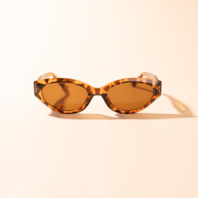 Lentes de Sol Urbano - PL 3981 - Caramelo Serpiente - Tienda Nébula