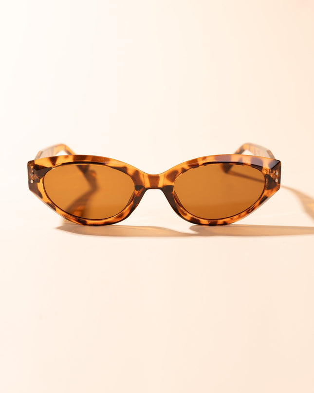 Lentes de Sol Urbano - PL 3981 - Caramelo Serpiente - Tienda Nébula