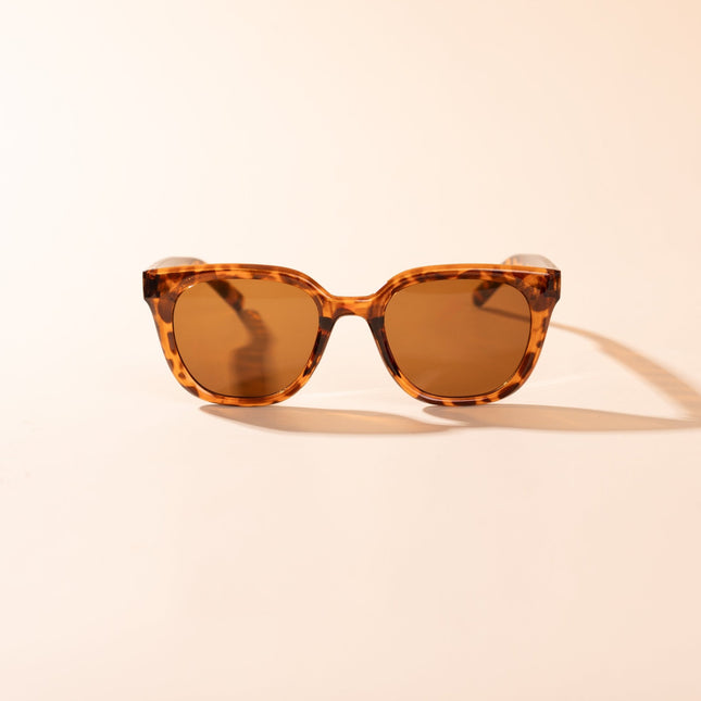 Lentes de Sol Urbano - PL - 3987 - Caramelo Serpiente - Tienda Nébula