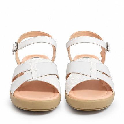 producto_1793108637245.jpg?v=1793108640