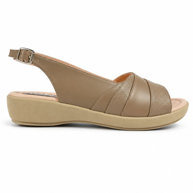 producto_1793116527245.jpg?v=1793116530