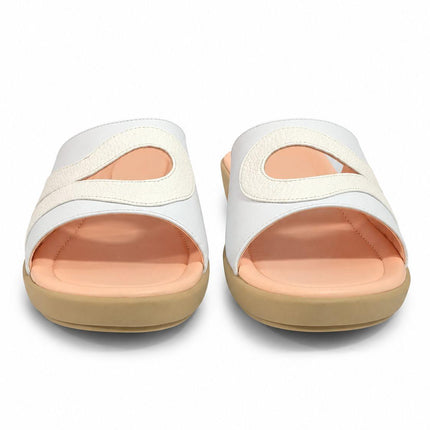 producto_17931218590006fd91c.jpg