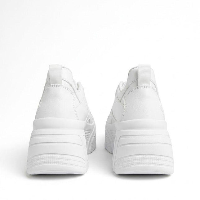 producto_1793288596161ff03b2.jpg