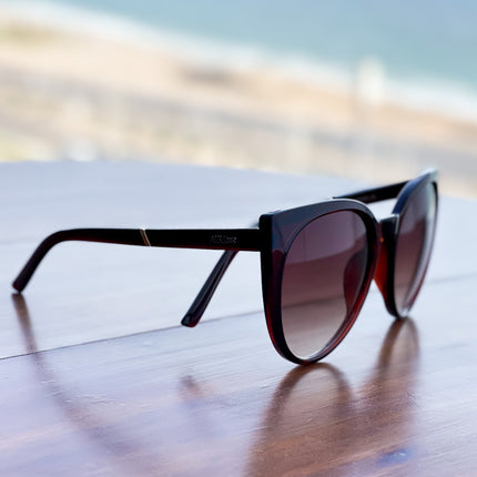 Lentes de Sol - Marron - MBS422