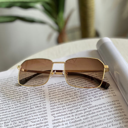 Lentes de Sol - Marron - Z276