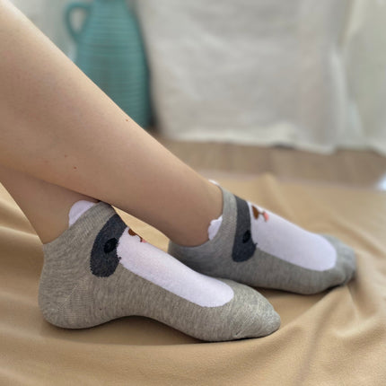 Medias Taloneras Osito - Gris