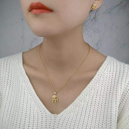 Set Collar Elefante