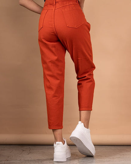 Pantalon Slouchy 4.0 - Ladrillo - Tienda Nébula