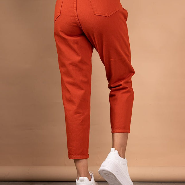 Pantalon Slouchy 4.0 - Ladrillo - Tienda Nébula